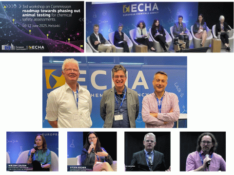 Third Workshop on the ‘Roadmap towards phasing out animal testing for ...