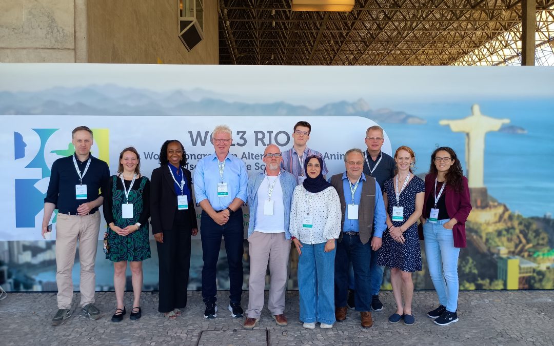 RISK-HUNT3R at WC13 Rio: advancing human-relevant safety testing